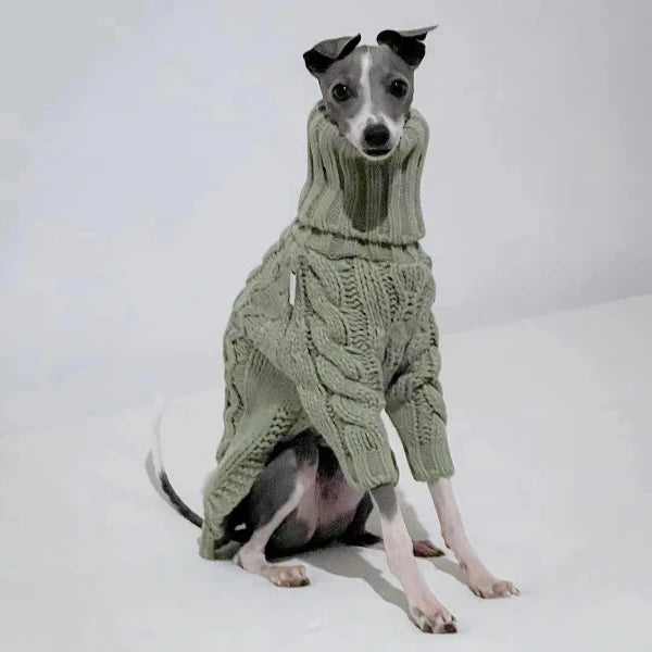 Pull pour whippet sale