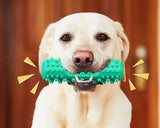 Brosse a dent chien | DentalDog™ - toutou heureux