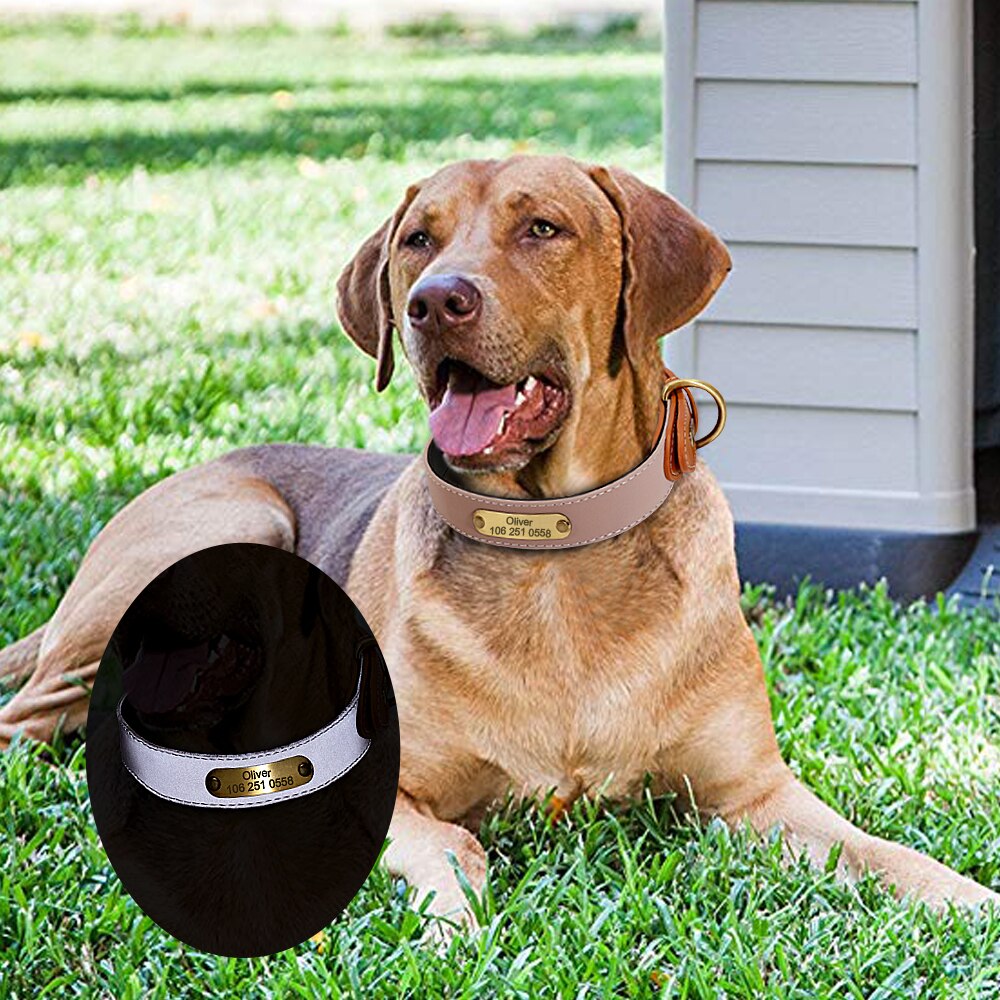 Collier Chien Personnalisé | Alexandra Bleu Marine Fleuri en Nylon