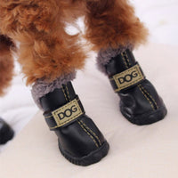 Chaussure Chien Neige pour petit chien | Pat'Neige ™