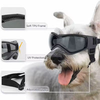 Lunette de protection pour petit chien | Protection Solaire & Moderne