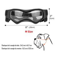 Lunette de protection pour petit chien | Protection Solaire & Moderne