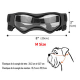 Lunette de protection pour petit chien | Protection Solaire & Moderne