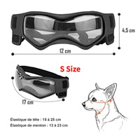 Lunette de protection pour petit chien | Protection Solaire & Moderne