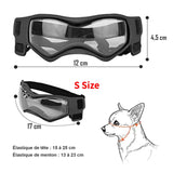 Lunette de protection pour petit chien | Protection Solaire & Moderne