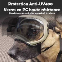 Lunette pour Chien Réactive à la Lumière | Protection UV et Design Tendance