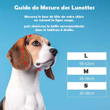 Lunette pour Chien Réactive à la Lumière | Protection UV et Design Tendance