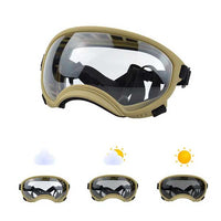 Lunette pour Chien Réactive à la Lumière | Protection UV et Design Tendance