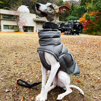 Manteau Whippet Imperméable Léger