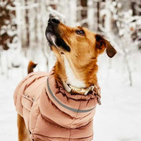 Manteau Whippet Imperméable Léger