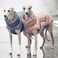 Manteau Whippet Imperméable Léger