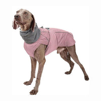 Manteau pour Chien Imperméable et Chaud - Veste d'Hiver Réfléchissante