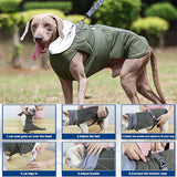 Manteau pour Chien Imperméable et Chaud - Veste d'Hiver Réfléchissante