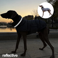 Manteau Whippet Réfléchissant 