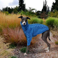 Pull-Whippet-Bleu-Douillet