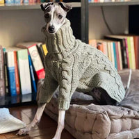 Pull pour Whippet Douillet Vert Armée