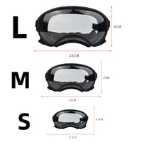 Lunette pour Chien Réactive à la Lumière | Protection UV et Design Tendance