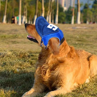 Casquette pour Chien Sportif 🐶