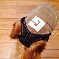 Casquette pour Chien marron