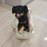 Sac transport petit chien | PETSacbag™
