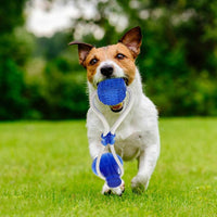 DogCuptoy™ Jouets en silicone encourager les chiens à faire plus d'exercice - toutou heureux