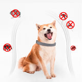 DogNeck™ contre les puces et les tiques pour chiens - toutou heureux