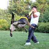 DogToyRing™ Frisbee anneau pour chiens destructeurs - toutou heureux