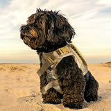 Harnais pour petit chien | Militarydog™ - toutou heureux