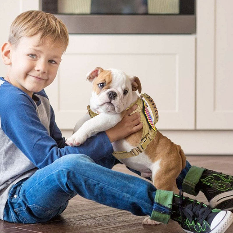 Harnais pour chien bleu confortable, harnais Chihuahua tricot Unique, sans  starter, petit chien, grand chien, collier et laisse pour Myknitt DF24  livraison gratuite -  France