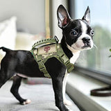 Harnais pour petit chien | Militarydog™ - toutou heureux