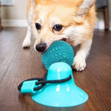 DogCuptoy™ Jouets en silicone encourager les chiens à faire plus d'exercice - toutou heureux