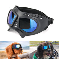 lunettes pour chien moto | PetSun™ - toutou heureux