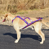 harnais traction chien | PetSkiwear™ - toutou heureux