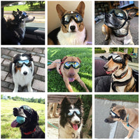 lunette de soleil pour chien | PetSun™ - toutou heureux