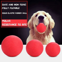 ToyBall™ Balle interactive pour chien - toutou heureux