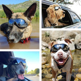 Lunette chien Protection | PetSun™ - toutou heureux