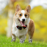 Chaussures pour chiens Imperméables | PAWIMPERME™