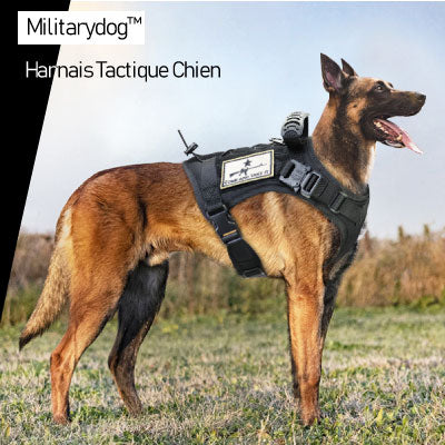 LTS FAFA Harnais pour chien Gilet militaire pour chien Laisse avec pochette  et patch, gilet tactique