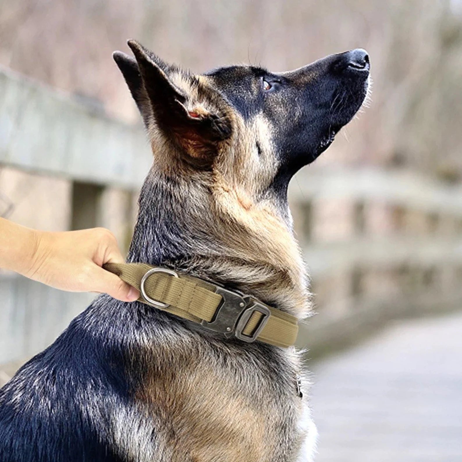 Acheter Collier tactique pour chien, collier d'entraînement pour animaux de  compagnie et laisse, poignée de contrôle en caoutchouc, colliers sans  traction pour petits et grands chiens