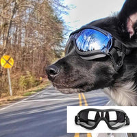 lunette de soleil pour chien | PetSun™ - toutou heureux